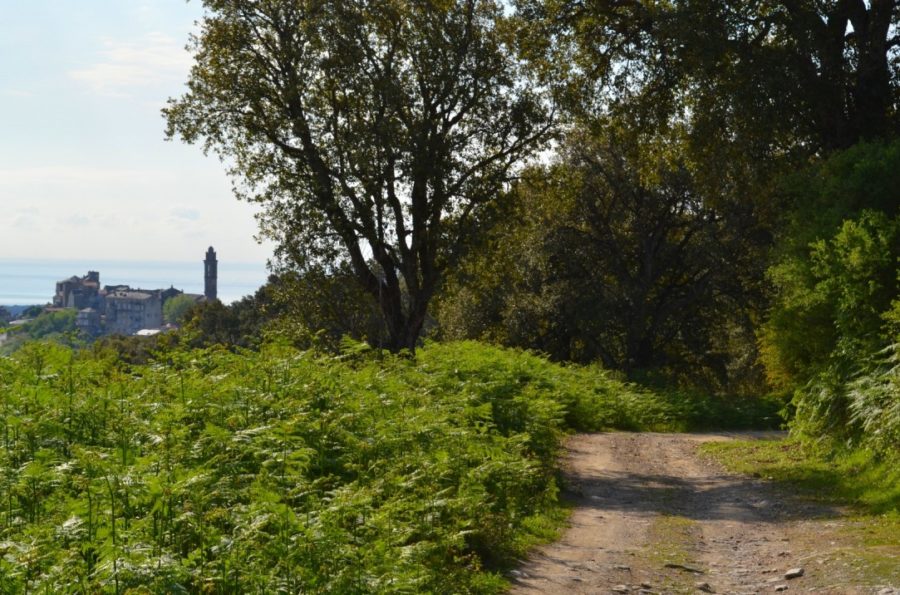 Promenade à Venzolasca