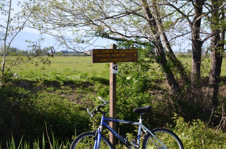 Découverte des sentiers VTT de Casinca