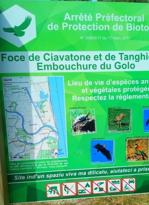 Vers l’embouchure du Golo
