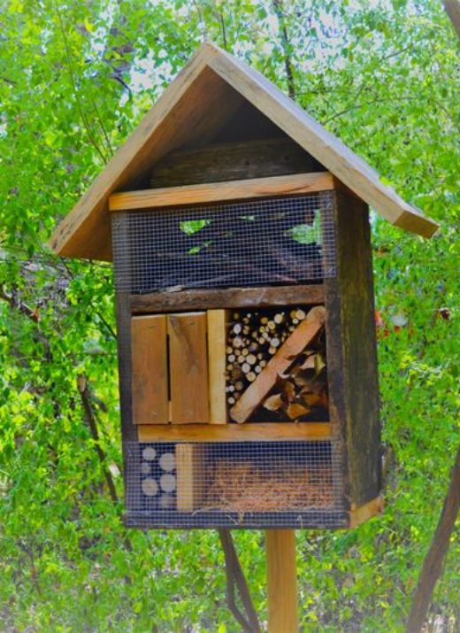 Une maison d'hôtes particulière