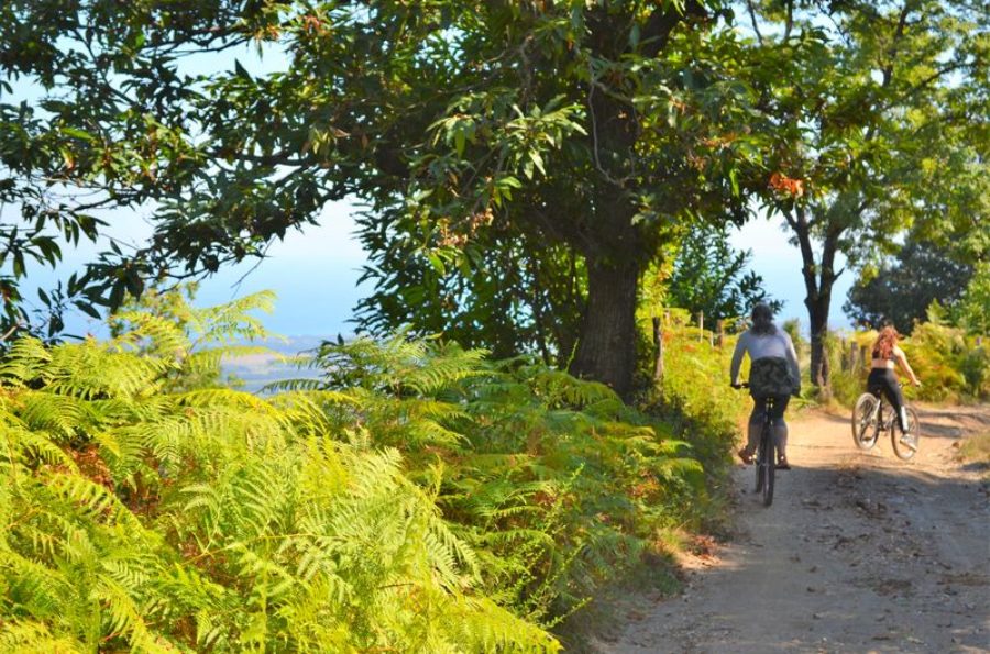 descente panoramique en vélo