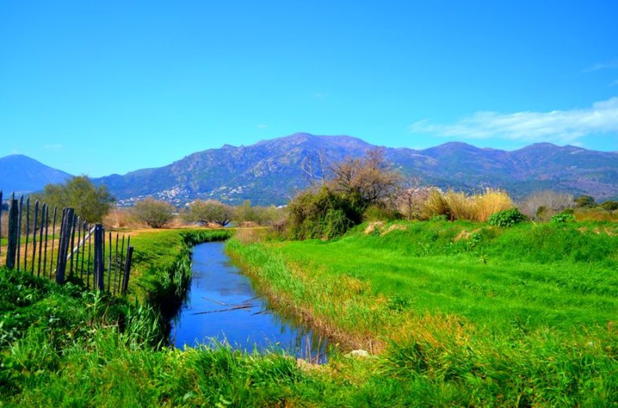 parc de Fornacina