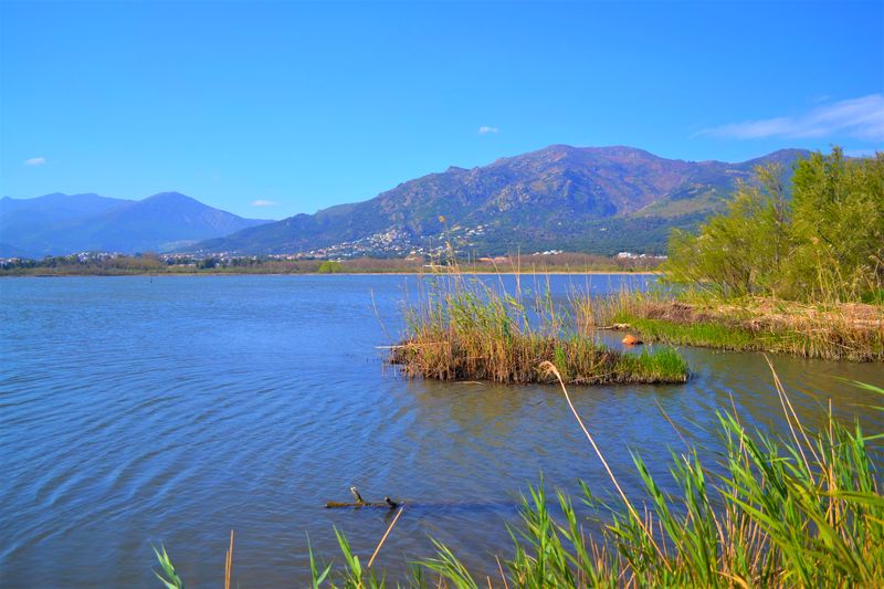 Etang de Biguglia