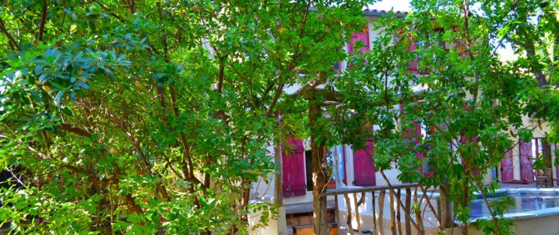 Jardin forêt à Venzolasca