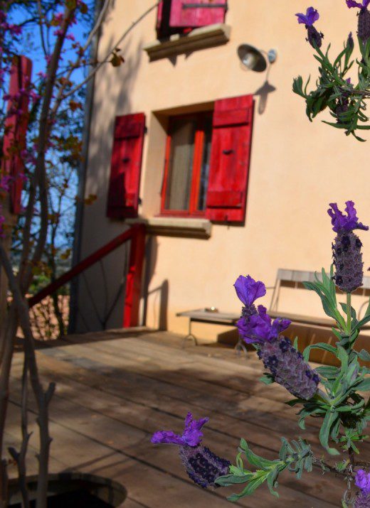 Le printemps à la Maison de la vigne