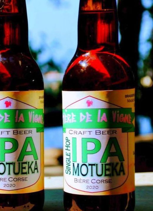 IPA MOTUEKA